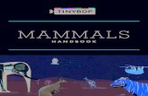 MAMMALS - schools-cdn.tinybop.com · And most mammals are warm-blooded, ... Animals, like us, inhale the oxygen needed for energy and growth and exhale the carbon dioxide ... and