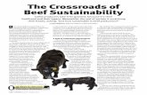 The Crossroads of Beef Sustainability · health and welfare. “Animal health and welfare is a critical component of the conversation about Sustainability defined: A sustainable U.S.