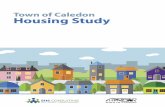 Town of Caledon Housing Study...Canada Mortgage and Housing Corporation, representatives of community agencies, and private sector representatives, as well as Town of Caledon residents