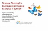 Strategic Planning for Cardiovascular Imaging: Examples of ...Why integrate strategic planning for cardiovascular imaging? How does imaging fit into current concept of health and disease?