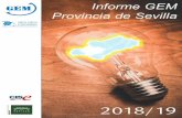 Informe GEM · 2020-01-28 · Informe Global Entrepreneurship Monitor provincia de Sevilla. MIEMBROS DEL EQUIPO GEM SEVILLA Universidad Pablo de Olavide Carmen Cabello Medina (Coord.)