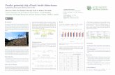 Predict potential risk of bark beetle disturbance · accelerated bark beetle spread was driven by the drought and high level of proportion share of Norway spruce factors. Decision