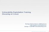 Vulnerability Exploitation Training (focusing on Linux) · 2013-04-02 · Vulnerability Exploitation Training (focusing on Linux) Rodrigo Rubira Branco (BSDaemon) ... 2007-02-26: