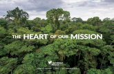 THE HEARTOF OUR MISSION - Rainforest Alliance€¦ · conservation organizations in communications strategies, published stories on the deforestation crisis, and worked with journalists