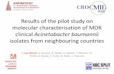 Results of the pilot study on molecular … 2 Crocmid...Results of the pilot study on molecular characterisation of MDR clinical Acinetobacter baumannii isolates from neighbouring