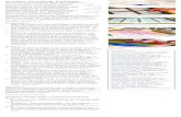 Screen Printing Collage - Blick Art Materialscdn.dickblick.com/lessonplans/pdfs/screenprinting.pdf · 2008-07-29 · Screen Printing Collage by Tonya Hill for Speedball Art Products
