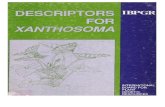Descriptors for xanthosoma - Bioversity International · Descriptors for xanthosoma Author: International Board for Plant Genetic Resources, (IBPGR), Rome, (Italy) Keywords: XANTHOSOMA