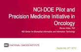 NCI-DOE Pilot and Precision Medicine Initiative in OncologyNCI-DOE Pilot and Precision Medicine Initiative in Oncology September 30 th, 2015 ... • Integrated machine learning and