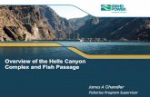 Overview of the Hells Canyon Complex and Fish Passage M – Rapid River - Spring Chinook 1 M – Pahsimeroi - Summer Chinook 1.8 M – Oxbow / Pahsimeroi /Niagara Springs Steelhead