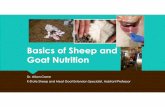 Basics of Sheep and Goat Nutrition - Wildcat District...Pregnancy Toxemia (Ketosis): Caused by rapid fat mobilization during late pregnancy Most common in over-or under-conditioned