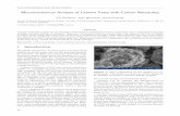 Micromechanical Analysis of Cement Paste with Carbon Nanotubesksm.fsv.cvut.cz/~smilauer/pdf/Micromechanical... · Micromechanical Analysis of Cement Paste with Carbon Nanotubes Vít