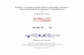 Fibre Suspension Flocculation under Simulated Forming ...9647/FULLTEXT01.pdf · Study of Fibre Suspension Flocculation under Simulated Forming Conditions, 5th International Paper
