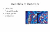 Genetics of Behaviorguralnl/441Genetics of Behavior.pdfGenetics of Behavior •Overview • Animal Models • Single genes • Multigenes Animal Models • Use model animal • Different
