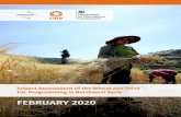 FEBRUARY 2020 · February 2020 : Impact Assessment of the Wheat and Olive FSL Programming in Northwest Syria 3 ACRONYM DFID Department for International Development DTI Debt to Income