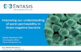 Improving our understanding of porin permeability in Gram ... · Improving our understanding of porin permeability in Gram-negative bacteria Pew-NIAID Workshop 7 February, 2017 –Washington,