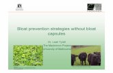 Bloat prevention strategies without bloat capsules 2 · Background • Normally, gas from fermentation is eliminated from the rumen by eructation (belching) • Bloat occurs when