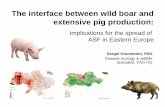 The interface between wild boar and extensive pig production · 2014-12-07 · ASF transmission at the interface • Disposal of contaminated carcasses and products scavenged upon