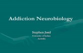 Neurobiology of addiction - IDAA€¦ · Addiction Neurobiology Stephen Jurd University of Sydney Australia . Apology •Richard W is sick . The site of pathology . IF •Addiction