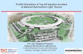 FLUKA Simulation of Top-off Injection Accident at National ... · FLUKA Simulation of Top-off Injection Accident at National Synchrotron Light Source P.K. Job, Radiation Physicist