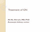 Treatment of GN Membranous nephropathy (MN) diagnosed by biopsy Exclude or treat secondary causes Idiopathic MN Urine protein 3.5-10g Urine protein Normal or protein 3.5g Normal GFR