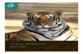 India Wildlife Safari | Brochure 2021 | Apex Expeditions · Assam, on the fertile plains of the Brahmaputra River. Land in Guwahati and continue by road to Kaziranga National Park,