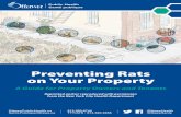 Preventing Rats on Your Property - Ottawa Public … › en › public-health...• Educate you on how to prevent rats. • Work with you until rats are gone. Work Together • Walk