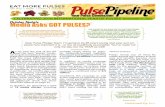 CELEBRATING 2016 INTERNATIONAL YEAR OF PULSES …files.constantcontact.com/be20fb88401/18f92ba0-1087-49cc... · 2016-11-12 · Pledge newsletter resulted in an increase in traffic