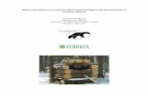 Effects of industry on wolverine ( Gulo gulo ) ecology in ...wolverinefoundation.org/wp-content/uploads/2014/12/... · In visiting GPS data clusters, ... (Rangider tarandus), and