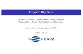 Project: Big Data - uni-hamburg.de · Topics Semantic Search with Apache Solr Motivation Data services at DKRZ provide services to search through (dirty) metadata Julian M. Kunkel