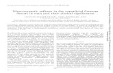 Monosynaptic reflexes flexors manJouirnalofNeuirology, Neluroslurgery, andPsychiatry, 1976, 39, 555-565 Monosynapticreflexes in the superficial forearm flexors in manandtheir clinical