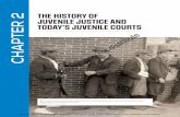 THE HISTORY OF JUVENILE JUSTICE AND CHAPTER 2 TODAY’S … · 2020-05-22 · Chapter 2 THE HISTORY OF JUVENILE JUSTICE AND TODAY’S JUVENILE COURTS . 29. children and decide whether