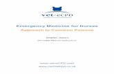 Emergency Medicine for Nurses - Vet-ecpd · Emergency Medicine for Nurses Approach to Common Poisons Shailen Jasani MA VetMB MRCVS DipACVECC  !