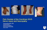 Pain Society of the Carolinas 2015: Nerve Injury and Neuropathy€¦ · Pain Society of the Carolinas 2015: Nerve Injury and Neuropathy Thomas Buchheit, MD Associate Professor Director