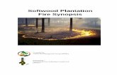 Softwood Plantation Fire Synopsis › pinefire › FFMG_2007_Softw… · Compiled by: Forest Fire Management Group (FFMG) Endorsed by: Australasian Fire Authorities Council Ltd (AFAC)