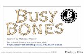 Ask A Biologist - Biology Bits - Bones · PDF file Bones aren't as solid as they look. Inside of bones there is a soft layer called bone marrow. All bone cells, including marrow, need