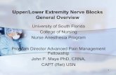 Upper/Lower Extremity Nerve Blocks General Overview · 2019-06-07 · 1 Upper/Lower Extremity Nerve Blocks General Overview University of South Florida College of Nursing Nurse Anesthesia