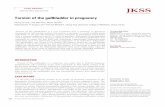 Journal of the Korean Surgical Society Torsion of the gallbladder … · 2013-12-16 · with a constant epigastric pain at 17 weeks of gestation. Abdom inal ultrasonography and magnetic