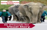 ZSL Whipsnade Zoo Visual Story · 2017-09-08 · ZSL Whipsnade Zoo Visual Story. Before visiting Whipsnade Zoo ZSL Whipsnade Zoo is a very large zoo with lots of animals that I might