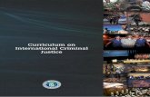 Curriculum on International Criminal Justice · 2013-04-15 · project’s ‘stakeholder group’, the Institute for Security Studies (ISS) and Institute for ... precedent relating