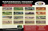 DANGEROUS SNAKES - TravelComments.com · DANGEROUS SNAKES OF SOUTHERN AFRICA ww Johan Marais is the author of various books on reptiles including the best-seller A Complete Guide