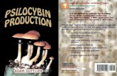 THE PSILOCYBIN PRODUCERS GUIDE - index-of.co.ukindex-of.co.uk/Tutorials-2/THE_PSILOCYBIN_PRODUCERS_GUIDE.pdf · There are numerous toxic mushrooms growing around us. Some of these