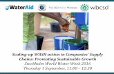 Scaling-up WASH action in Companies' Supply Chains ... · Scaling / strengthening “bottom up” well-being and livelihood programs • Replicate and scale “bottom up” approaches
