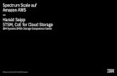 Spectrum Scale auf Amazon AWS — Harald Seipp STSM, CoE for ... · Skill Transfer, New Product Intro., Solution Enablement, Architectural Guidance Lab Services ... Targeted for HPC