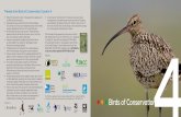 Themes from Birds of Conservation Concern 4 · conservation can work if properly targeted and funded. Two species, the bittern and nightjar, have moved from Red to Amber thanks to