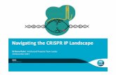 Kerry Fluhr - Navigating the CRISPR IP Landscape · Palindromic Repeats CRISPR, in its native state, is effectively a ... Navigating the CRISPR IP Landscape | Kerry Fluhr. To accomplish