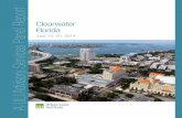 Clearwater-FL PanelReport v5 · Clearwater, Florida, June 15–20, 2014 7 CLEARWATER, FLORIDA, IS A CITY of approximately 110,000 located in the Tampa Bay region on the Gulf of Mexico.