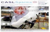 CASLSpirits · removal of engine thrust reverser cowls for modification, inboard flap sliding panel replacement, and engine change. The check was completed successfully and on time.