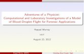 Adventures of a Physicist: Computational and Laboratory ... posters... · Computational and Laboratory Investigations of a Model of Blood Droplet Flight for Forensic Applications