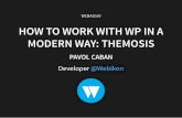MODERN WAY: THEMOSIS HOW TO WORK WITH WP IN A · │ ├── admin.php # → Theme customizer setup │ ├── filters.php # → Theme filters │ ├── helpers.php # →