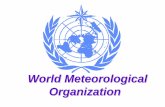 World Meteorological Organization - European Commissionec.europa.eu/environment/archives/cbn-e/doc/conf-feb07/lengoasa.pdf · •Refinement of services provided, especially to shipping